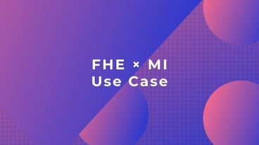 FHE × MI Use Case
