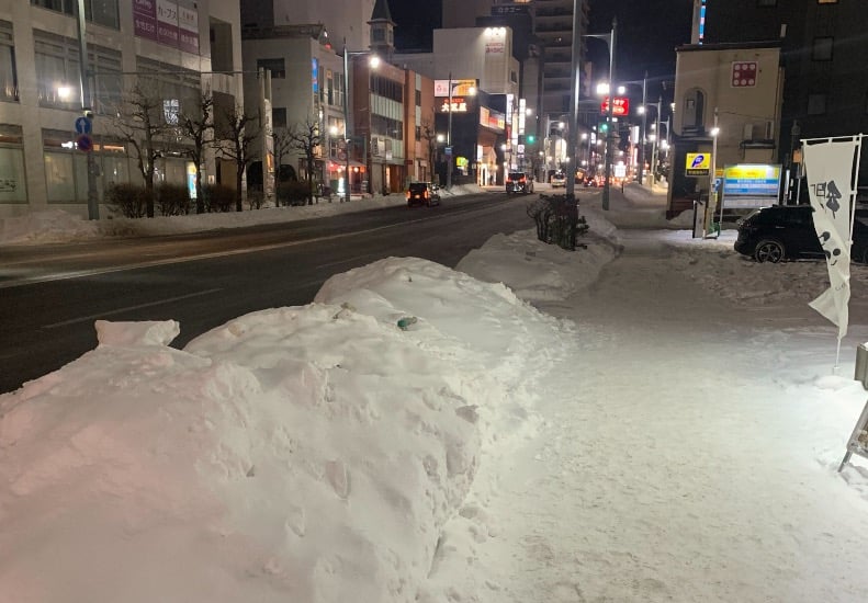 snow_hakodate